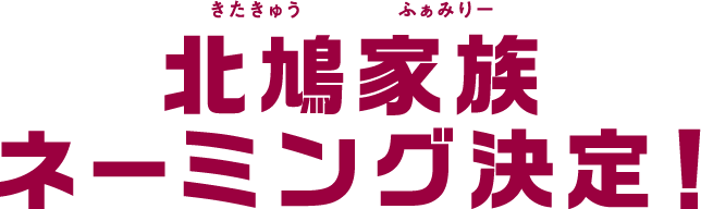北鳩家族ネーミング決定！