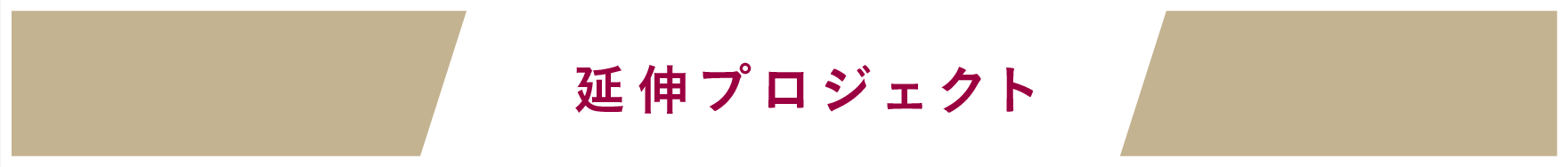 延伸プロジェクト