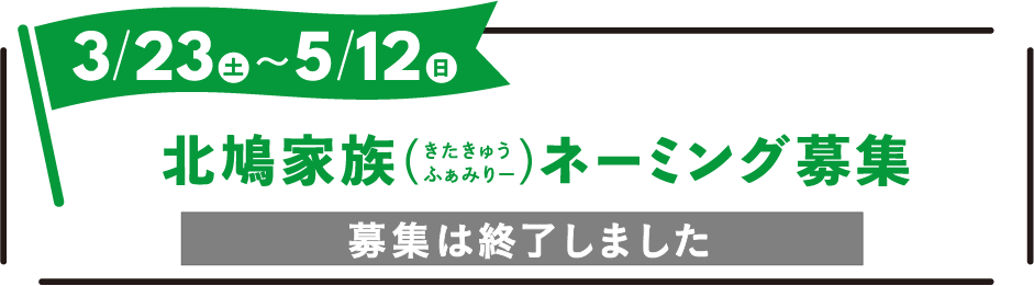 2024年3月23日(土)〜5月12日(日) 北鳩家族ネーミング募集